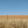 2020-09-30-Mozarabe-SM-15 (Pedrosillo-SanPedro)
