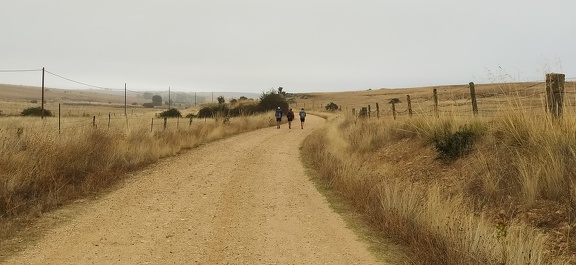 2020-10-01-Mozarabe-SM-01 (SanPedro-Salamanca)