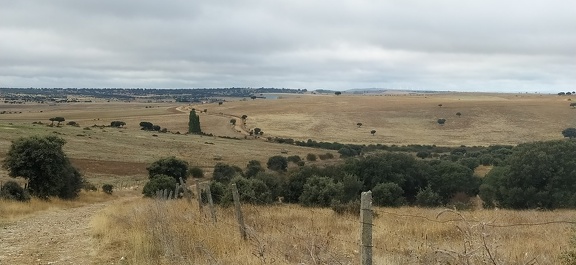 2020-10-01-Mozarabe-SM-09 (SanPedro-Salamanca)