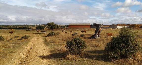 2020-10-01-Mozarabe-SM-12 (SanPedro-Salamanca)