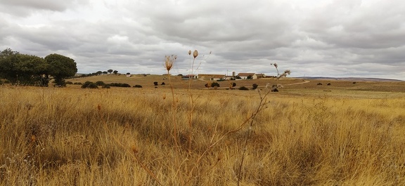 2020-10-01-Mozarabe-SM-25 (SanPedro-Salamanca)