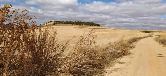 2020-10-01-Mozarabe-SM-31 (SanPedro-Salamanca)