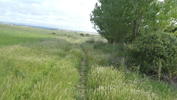 2021-05-24-Villanueva-Zamora-11