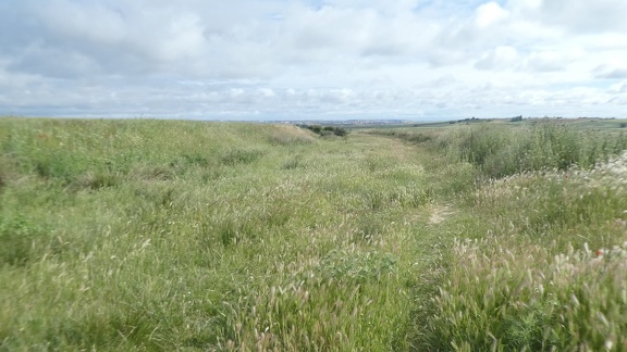 2021-05-24-Villanueva-Zamora-12