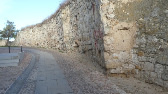2021-05-25-Zamora-Montamarta-02