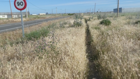 2021-05-25-Zamora-Montamarta-05