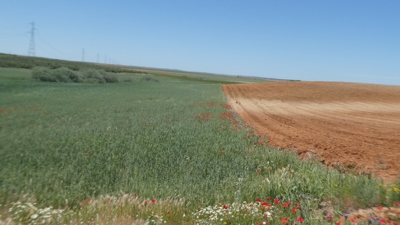 2021-05-25-Zamora-Montamarta-11