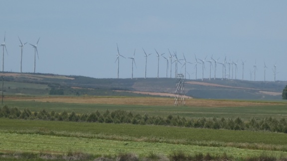 2021-05-25-Zamora-Montamarta-13