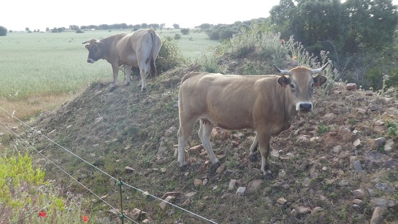 2021-05-26-Montamarta-Granja-06