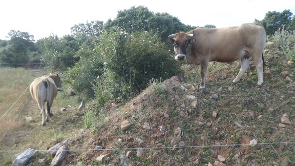 2021-05-26-Montamarta-Granja-07