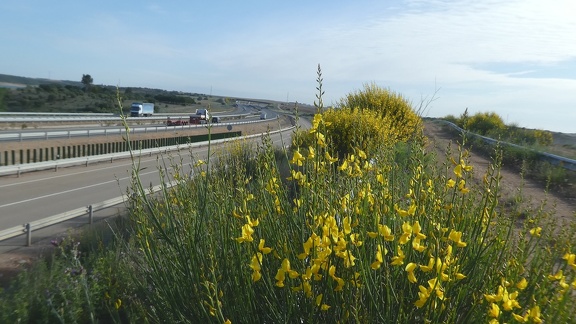 2021-05-26-Montamarta-Granja-09