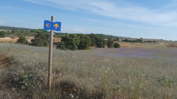 2021-05-27-Granja-nature-08