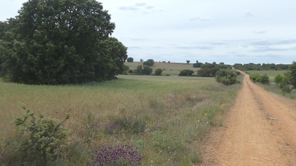 2021-05-27-Granja-nature-56
