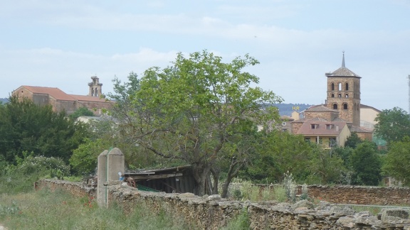 2021-05-28-nature-Tabara-05