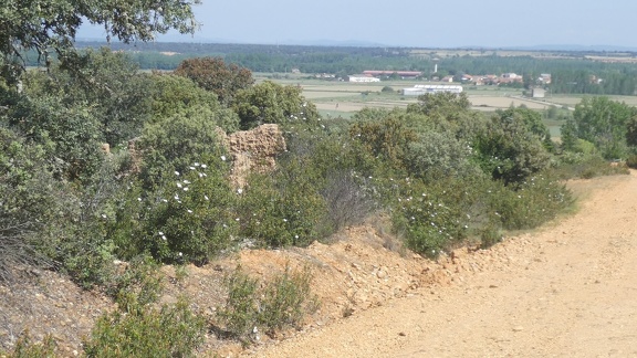 2021-05-30-Villanueva-Calzadilla-10