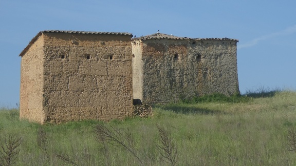 2021-05-31-Calzadilla-VillarFarfon-05