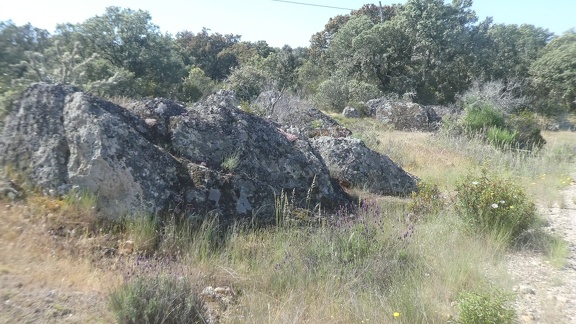 2021-05-31-Calzadilla-VillarFarfon-13