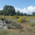 2021-06-01-VillarF-Mombuey-13