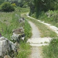 2021-06-11-Laza-VilarBarrio-35