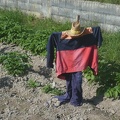 2021-06-12-VilarBarrio-Xunquiera-04