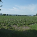 2021-06-12-VilarBarrio-Xunquiera-10