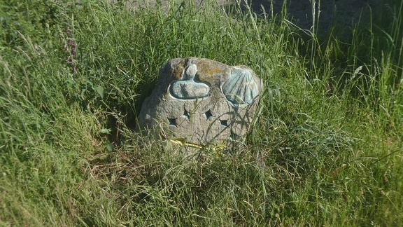 2021-06-12-VilarBarrio-Xunquiera-11