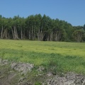 2021-06-12-VilarBarrio-Xunquiera-14