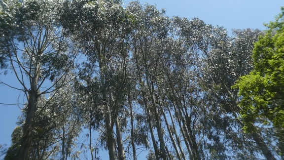 2021-06-12-VilarBarrio-Xunquiera-19