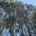 2021-06-12-VilarBarrio-Xunquiera-19