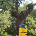 2021-06-12-VilarBarrio-Xunquiera-20