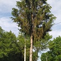 2021-06-12-VilarBarrio-Xunquiera-21