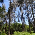 2021-06-12-VilarBarrio-Xunquiera-23
