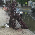 2021-06-14-Ourense-01