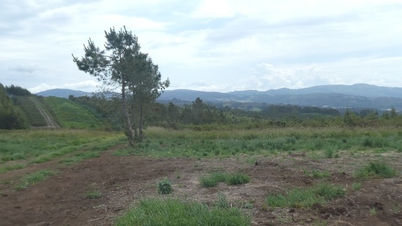 2021-06-16-Cea-Lalin-05