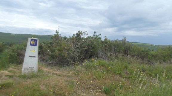 2021-06-16-Cea-Lalin-06
