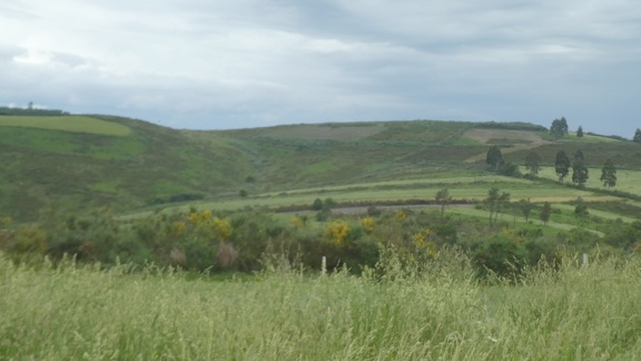 2021-06-16-Cea-Lalin-08