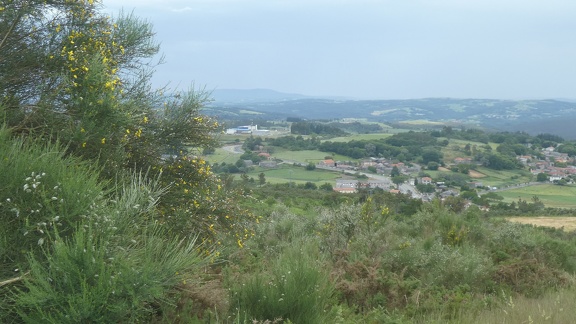 2021-06-16-Cea-Lalin-10
