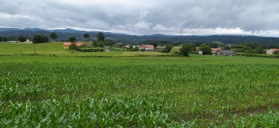2021-06-18-Silleda-Dornelas-14