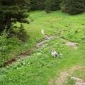 2013-06-26-Lac-Pourettes09