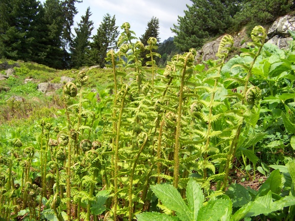 2013-06-26-Lac-Pourettes60