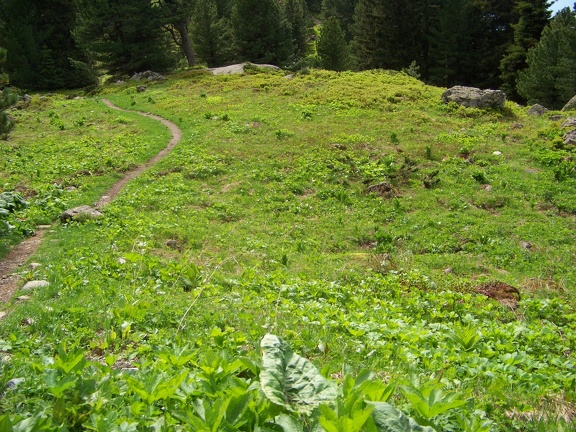 2013-06-26-Lac-Pourettes61