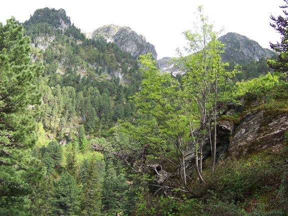 2013-06-26-Lac-Pourettes69
