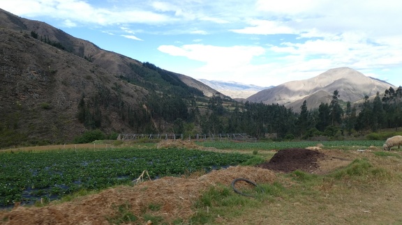 2018-10-15-Bolivie (Incallajta)-220