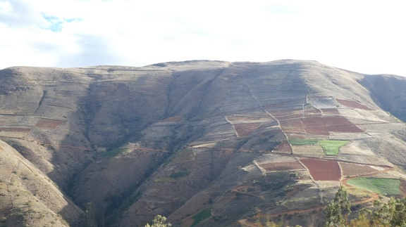 2018-10-15-Bolivie (Incallajta)-242