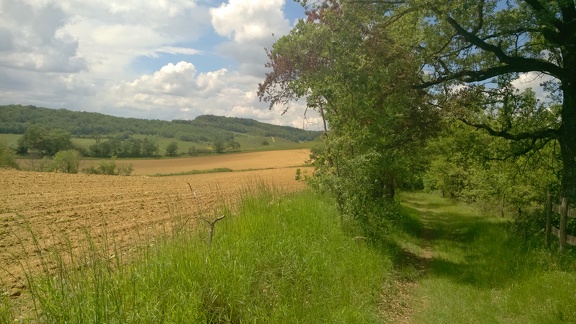 2016-05-30-Hounoux-Mirepoix20