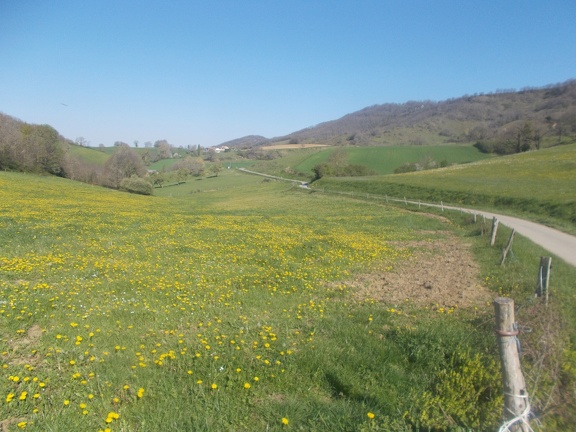 2017-04-10-Loubens-Montegut06