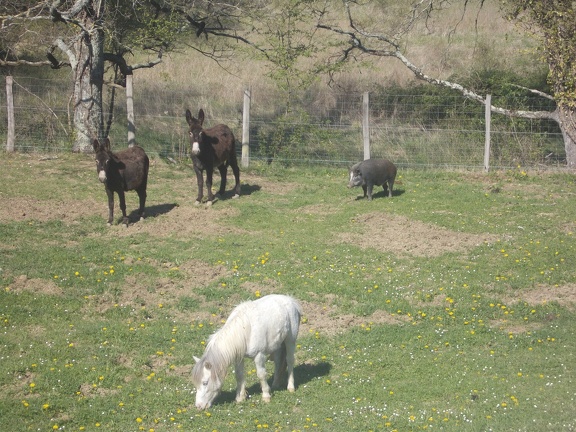 2017-04-10-Loubens-Montegut09