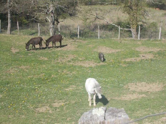 2017-04-10-Loubens-Montegut12