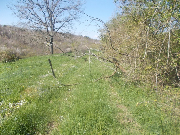 2017-04-10-Loubens-Montegut13