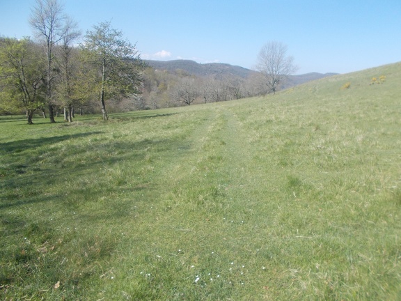 2017-04-10-Loubens-Montegut17
